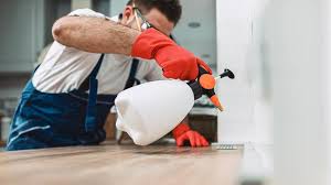 Best Pest Control for Multi-Family Homes  in Mount Pleasant, TX